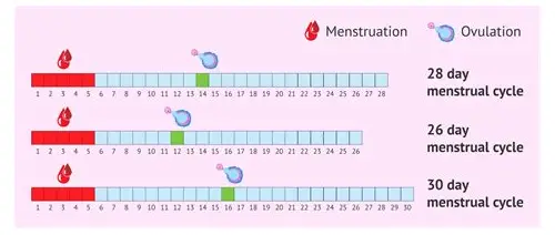 男人备孕要多久？科学规划助力优生优育