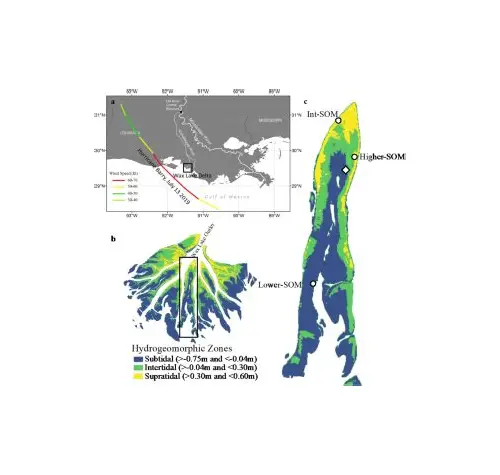 怀孕想死是什么心理？深度解析背后的情绪与应对之道