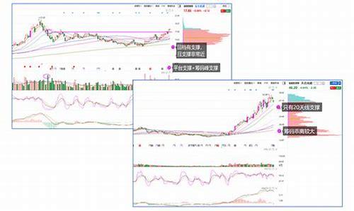 科学备孕新主张：解锁复合维生素的“生命密码”