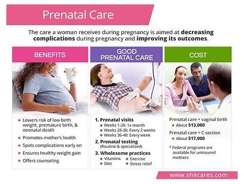 备孕都需要检查啥？科学指南助你迎接健康宝宝