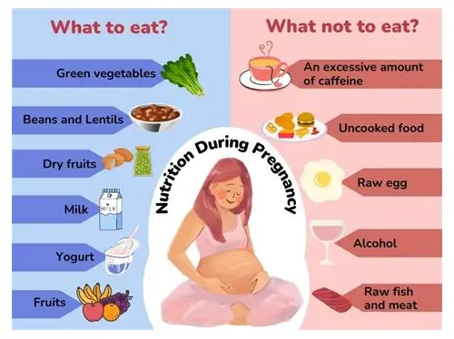 备孕有哪些要点?科学指南助你好“孕”来 备孕有哪些要点?科学指南助你好“孕”来