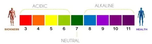 碱性体质备孕：科学认知与实践指南