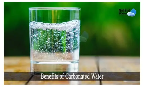 备孕期间能否安心饮用碳酸饮料？科学解读与健康建议