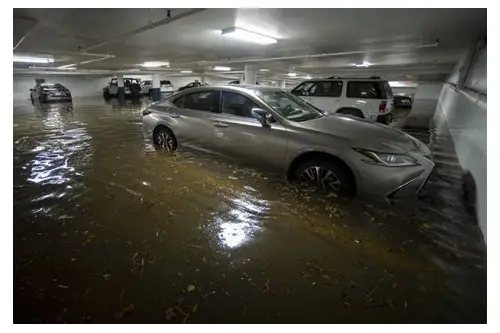 喜欢看孕妇大肚子是什么心理？解析背后的多重动因与社会认知