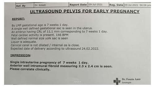 科学备孕全攻略：从身体调理到心理建设，为新生命做好万全准备