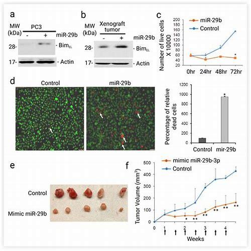 备孕期误饮啤酒？别慌！科学应对与预防指南