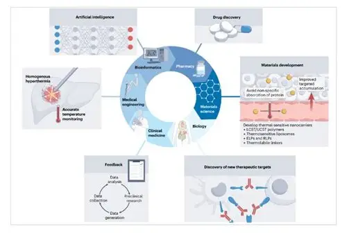探秘孕妇心理特点：理解与呵护并行的生命旅程