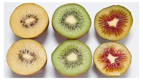 备孕吃猕猴桃：为好孕加分的健康秘诀