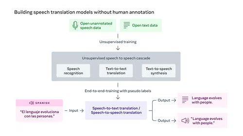 备孕有没有必要？科学视角下的深度解析