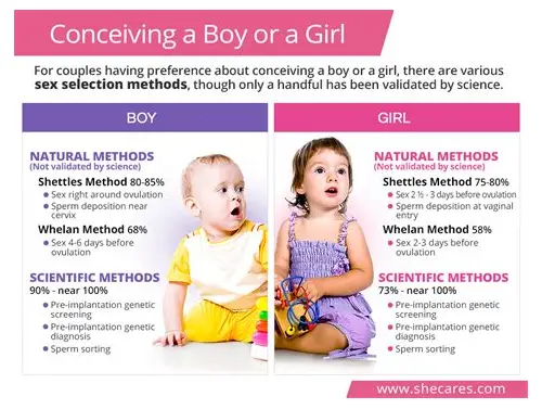 科学备孕指南：如何提高怀男宝宝的概率？