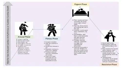 科学备孕：掌握同房时机与技巧，助力好孕到来
