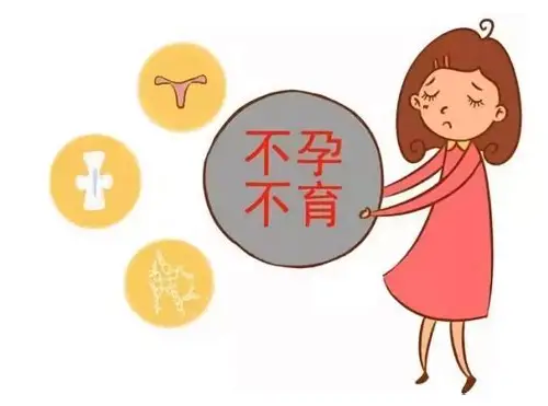 科学备孕全攻略：从身体调理到心理建设的全方位指南