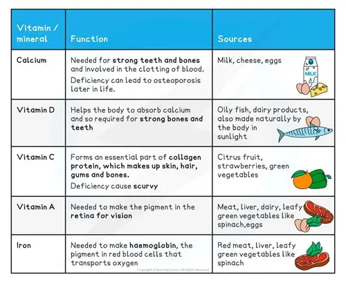 备孕前吃的调理：为孕育健康宝宝打下坚实基础