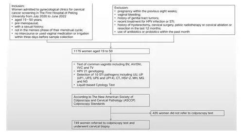 科学备孕指南：如何提高怀男宝宝的概率？