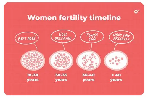 备孕多久会怀上？科学解读与实用建议