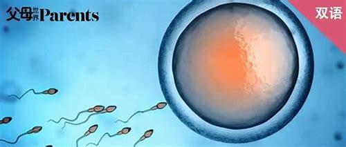 备孕半年没有成功？别焦虑，科学应对是关键！