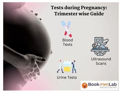 备孕都需要检查啥？科学指南助你迎接健康宝宝