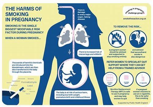 备孕男士必看！戒烟如何为优生优育铺就健康之路？