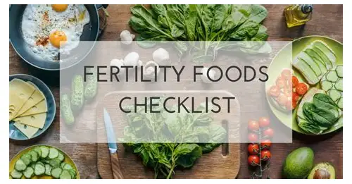 科学备孕，食养先行——打造健康体质迎接新生命