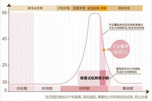 科学解读“备孕几天同房”：把握黄金时机，提升受孕几率