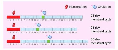 男士备孕检查：为健康宝宝筑牢第一道防线