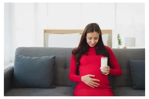 备孕期间如何科学饮用豆浆？营养搭配与注意事项全解析