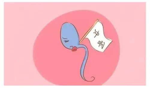 二胎怎么备孕：科学规划，迎接新生命的到来