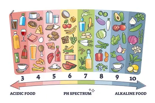 碱性体质备孕：科学认知与实践指南