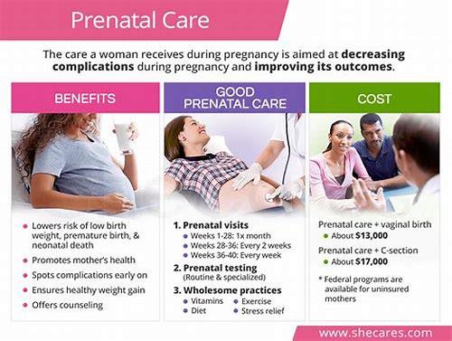 备孕的重要性：为新生命奠定健康基础