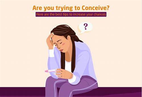 备孕前期如何调理：科学规划，为新生命奠定健康基础