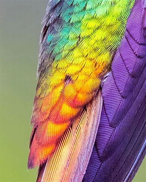 破茧之困：解码女生害怕怀孕的心理密码