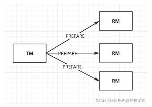 科学备孕指南：男女双方如何高效准备迎接新生命