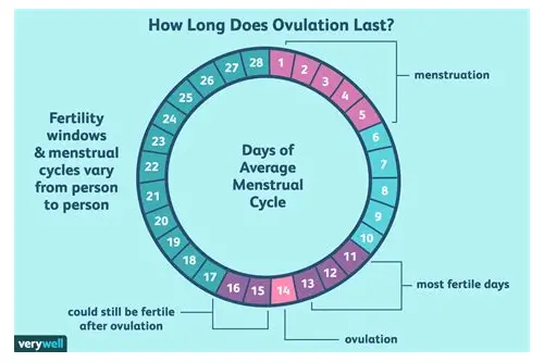 备孕的最佳时期:科学规划,迎接新生命的到来 备孕的最佳时期:科学规划,迎接新生命的到来