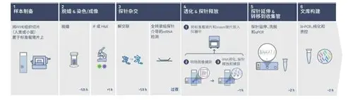 备孕男生检查：为健康宝宝筑牢第一道防线