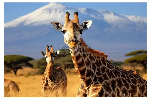 备孕查激素水平：科学指导，助力好“孕”降临