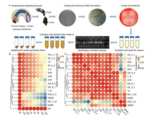 解锁备孕“密码”:科学有效的备孕方法全攻略 解锁备孕“密码”:科学有效的备孕方法全攻略