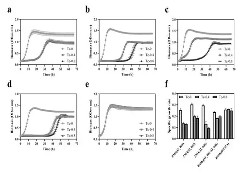 孕期心理保健：呵护准妈妈的心灵花园