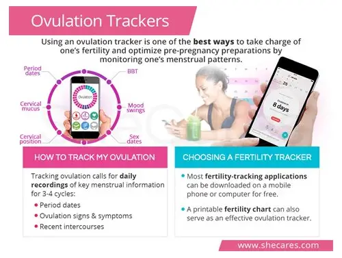 备孕怎么样调理?科学指南助你好孕优生 备孕怎么样调理?科学指南助你好孕优生