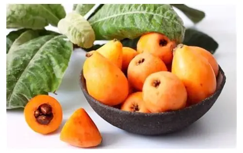 备孕吃枇杷好吗？专家解析营养优势与食用注意事项