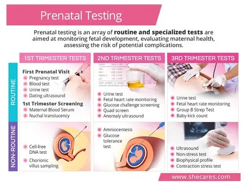 备孕要检查啥?科学指南助你好“孕”来 备孕要检查啥?科学指南助你好“孕”来