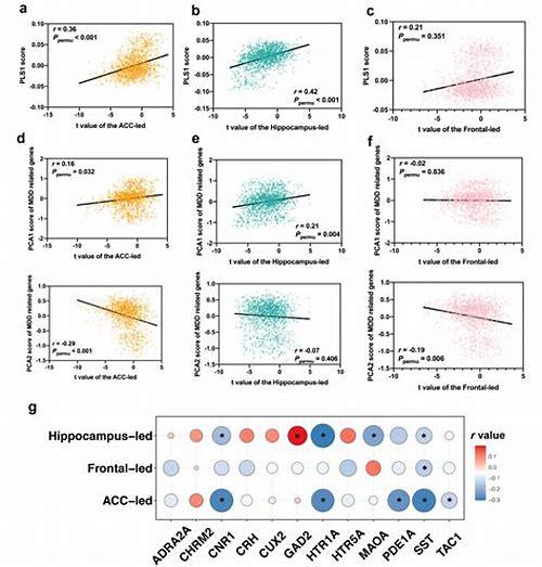 孕期心理测评：守护准妈妈的心灵花园