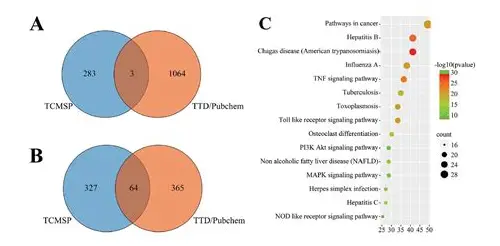 备孕哪种叶酸好？科学选择指南与实用建议
