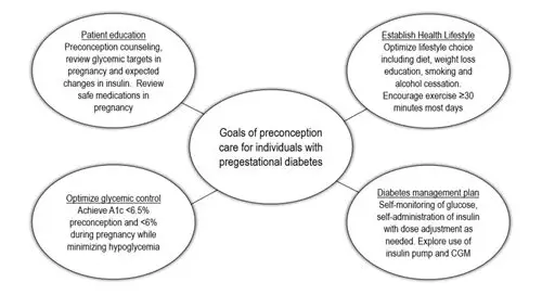 备孕期间可以:科学规划,迎接新生命的到来 备孕期间可以:科学规划,迎接新生命的到来