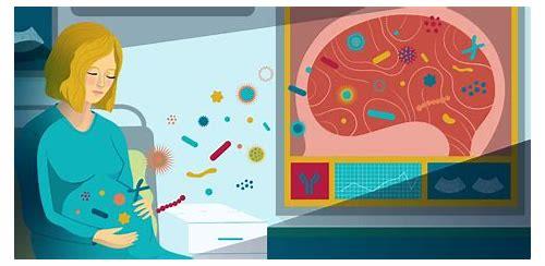 孕期情绪波动：探索其与胎儿自闭症潜在关联的深度剖析