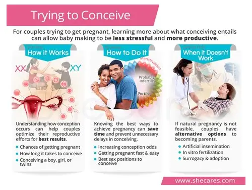 备孕怀不上？揭秘常见原因与科学应对策略