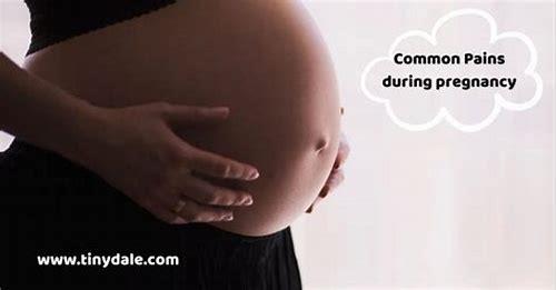 准妈妈孕期：守护生命之初的温柔旅程