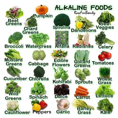 备孕男性必知：多吃这些碱性食物，助力好孕气！