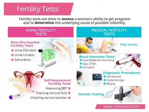 备孕应该检查哪些？科学指南助你迎接健康宝宝