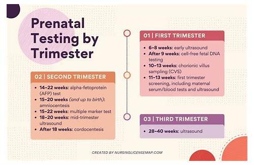 备孕科学指南：全面检查为健康宝宝护航