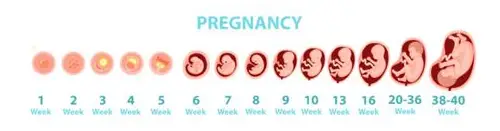 孕早期心绪起伏指南：理解并应对怀孕10周时的心理不适